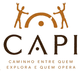 CAPI
